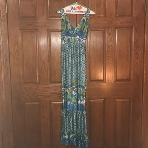 1060 Sherman 100% silk maxi dress